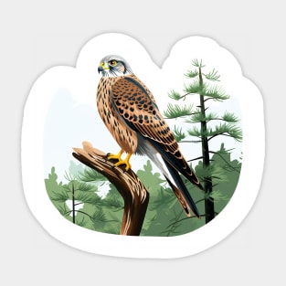 Kestrel Sticker